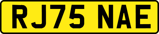 RJ75NAE