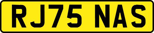 RJ75NAS