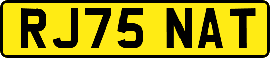 RJ75NAT
