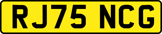 RJ75NCG