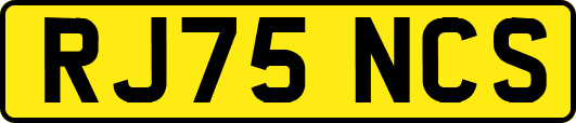 RJ75NCS