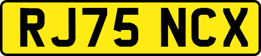 RJ75NCX