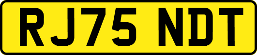 RJ75NDT