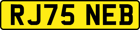 RJ75NEB