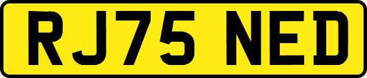 RJ75NED
