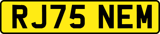 RJ75NEM