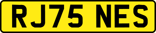 RJ75NES
