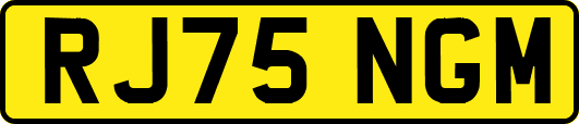 RJ75NGM