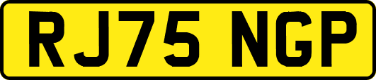 RJ75NGP