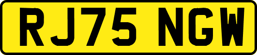 RJ75NGW