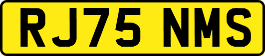 RJ75NMS