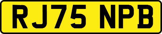 RJ75NPB