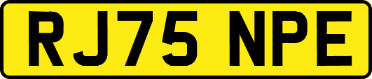 RJ75NPE
