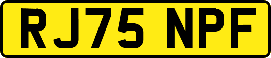 RJ75NPF