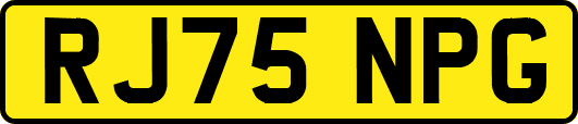RJ75NPG