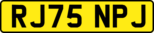 RJ75NPJ