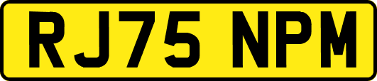 RJ75NPM