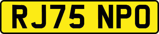 RJ75NPO