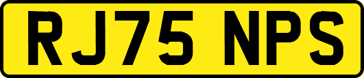RJ75NPS