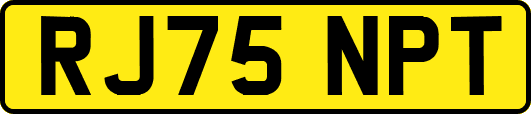 RJ75NPT