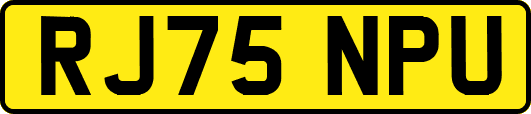 RJ75NPU