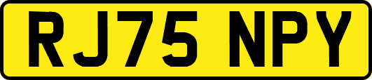 RJ75NPY