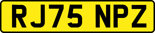 RJ75NPZ