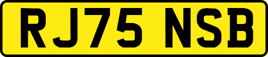 RJ75NSB