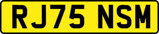 RJ75NSM