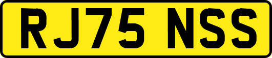 RJ75NSS