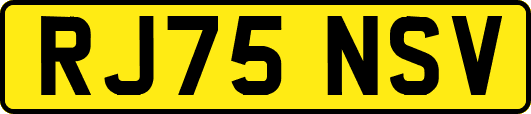 RJ75NSV
