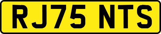 RJ75NTS