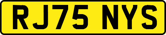 RJ75NYS