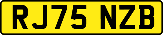 RJ75NZB
