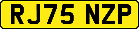 RJ75NZP