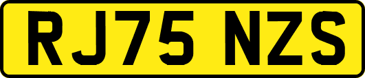 RJ75NZS
