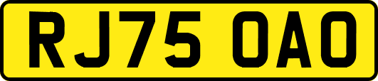 RJ75OAO