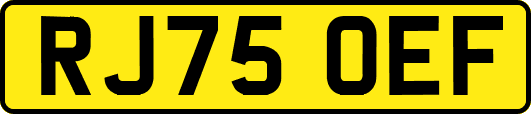 RJ75OEF