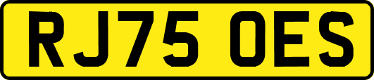 RJ75OES