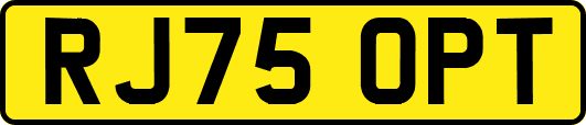 RJ75OPT