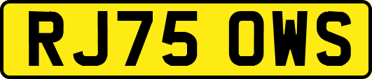 RJ75OWS