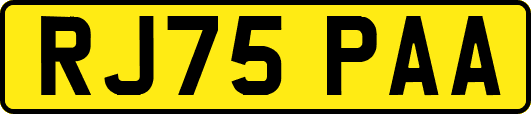 RJ75PAA
