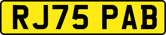 RJ75PAB