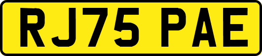 RJ75PAE