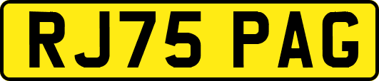 RJ75PAG