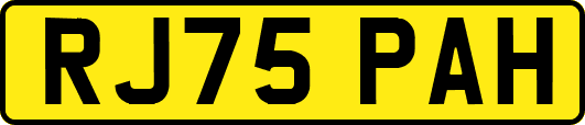 RJ75PAH