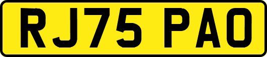 RJ75PAO