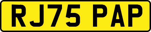 RJ75PAP