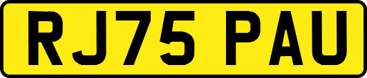 RJ75PAU
