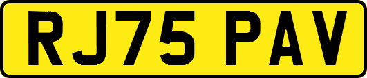 RJ75PAV